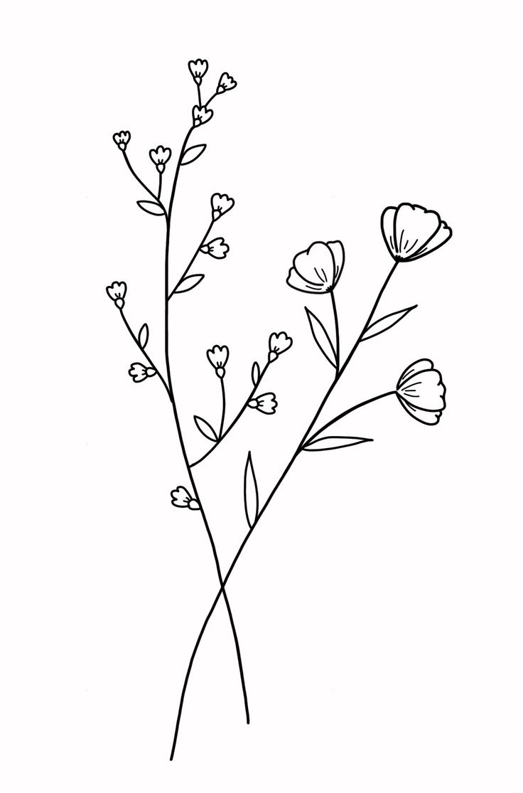 a black and white drawing of some flowers