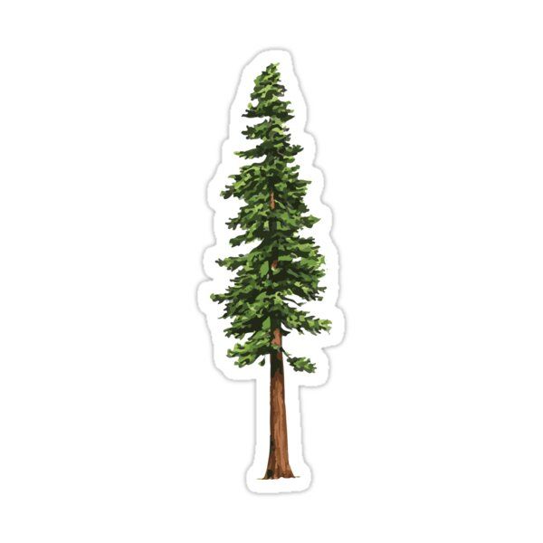 a sticker depicting a tall tree with green leaves on the top and bottom, against a white background