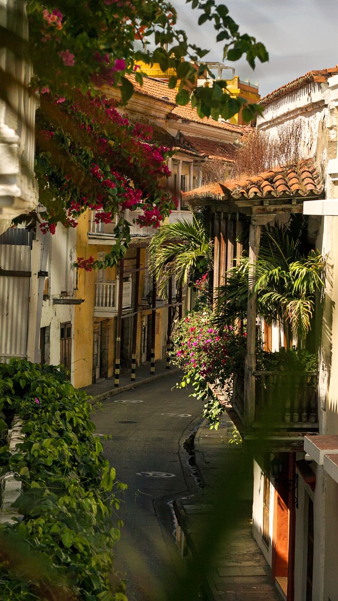 an alley way with buildings and flowers in the foreground, on a sunny day