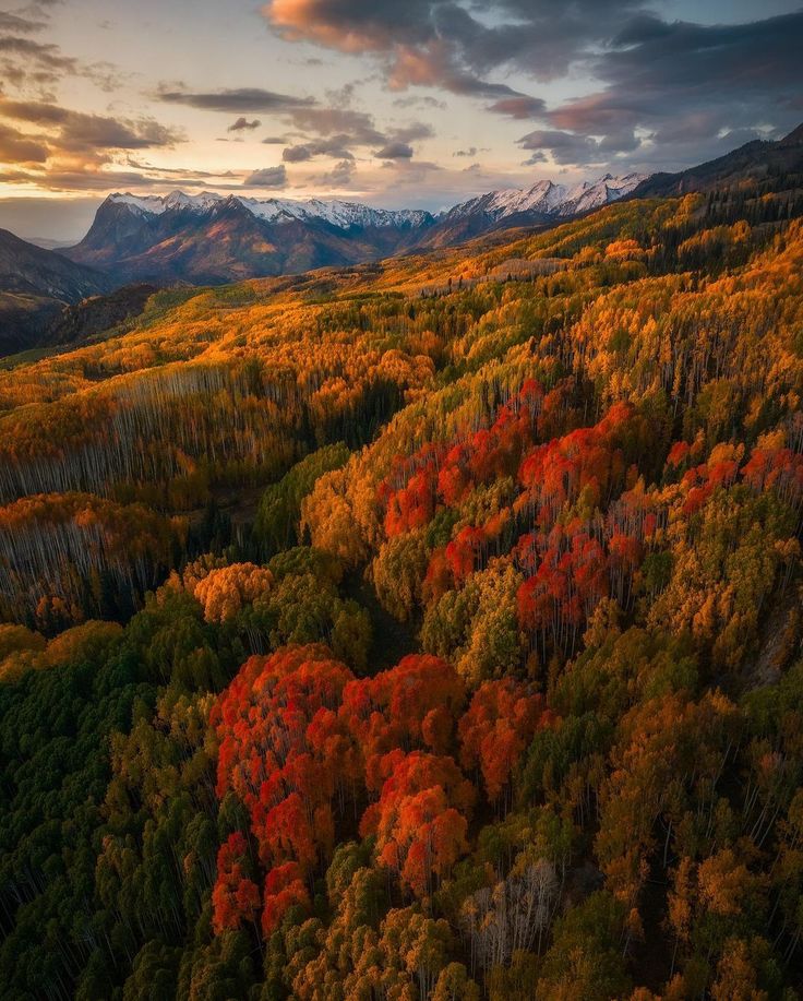 an aerial view of the mountains and trees with fall colors in the foreground at sunset