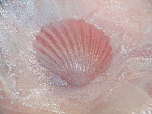 a pink sea shell sitting on top of a white cloth covered in water droplets and glitters