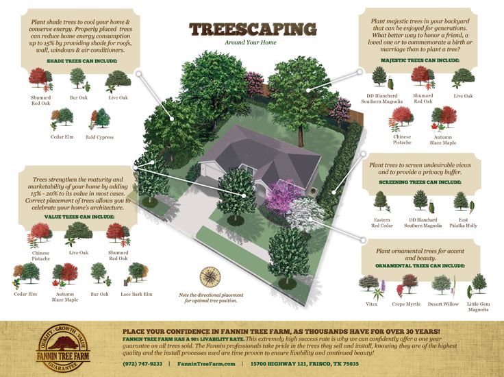 a map shows the different types of trees in an area that is well manicured