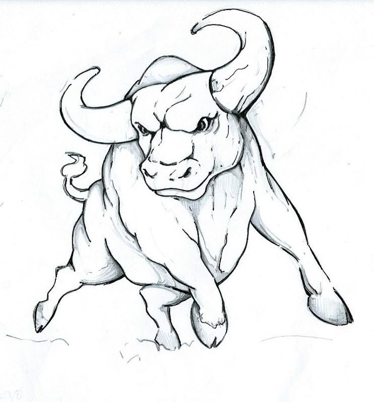 a drawing of a bull that is running with its horns spread out to the side