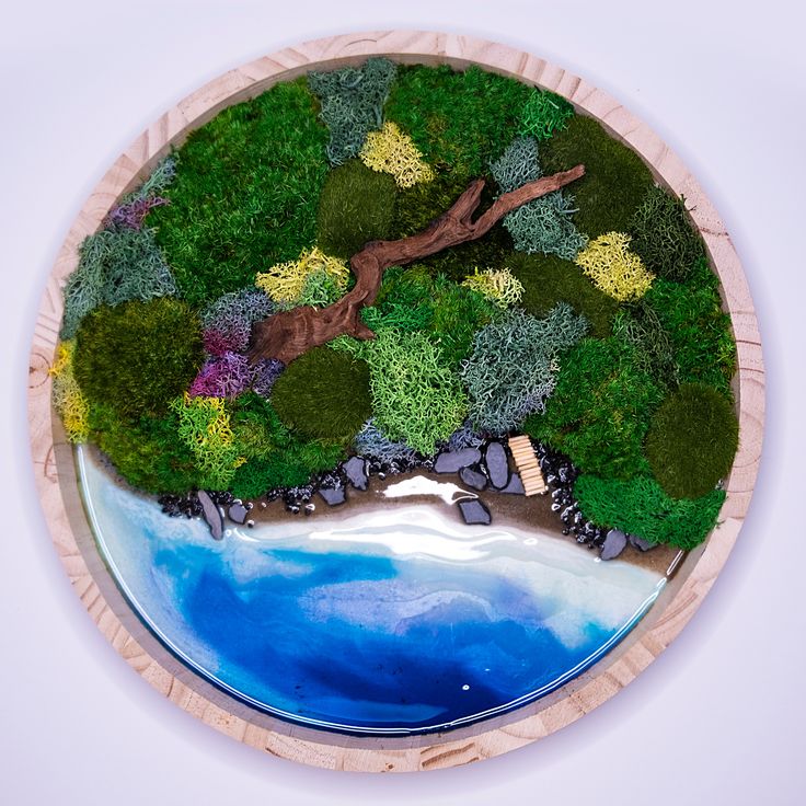 a clock made out of plants and rocks on a white surface with blue water in the middle