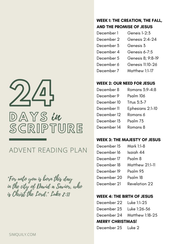 the front and back cover of 24 days in scripture