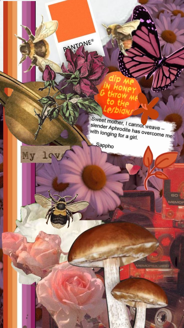 a collage of flowers, butterflies and other things