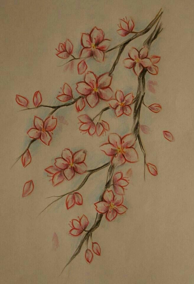 a drawing of pink flowers on a white background