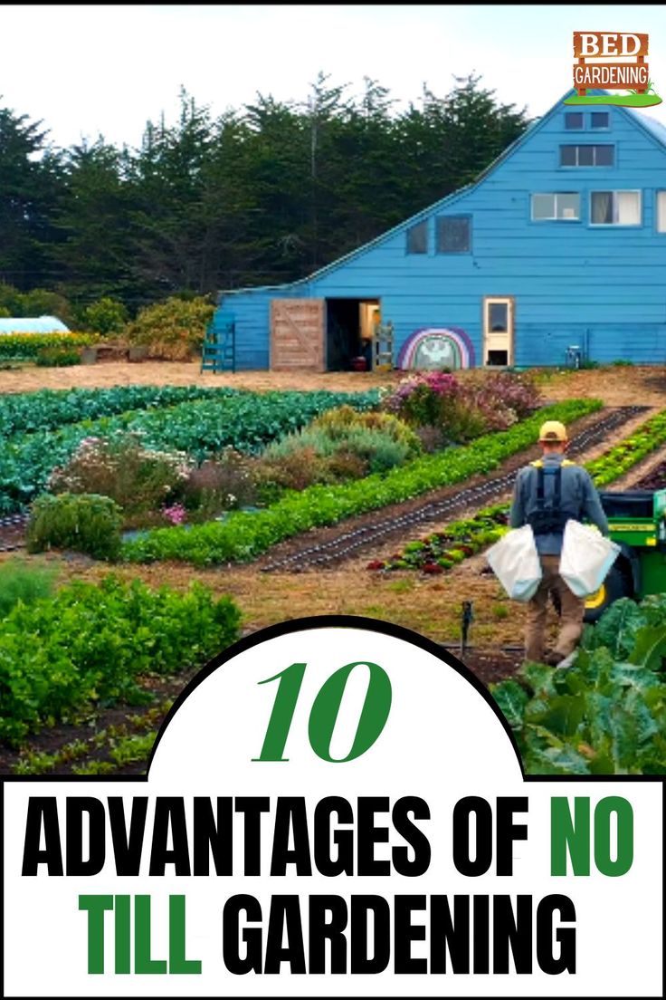 a man walking through a garden filled with lots of green plants and vegetables next to a blue house