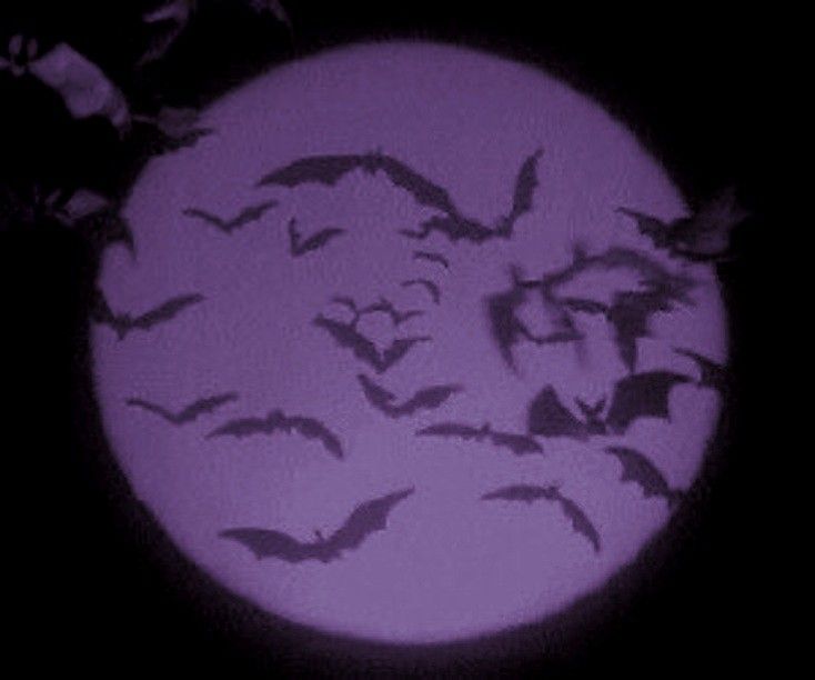 Purple aesthetic Ghost Purple Aesthetic, Purple Aesthetic Vampire, Purple Nightmare Aesthetic, Villian Aesthetic Purple, Purple Bats Background, Goth Moon Aesthetic, Purple Emo Widgets, Purple Bat Aesthetic, Light Purple Halloween Aesthetic