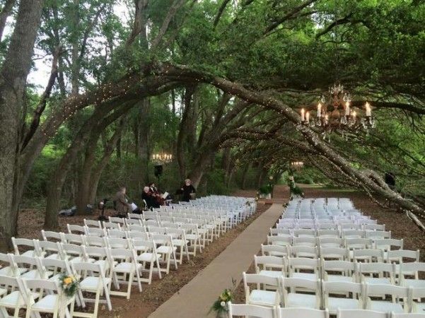 an outdoor wedding setup with white chairs and chandelier hanging from the tree branches