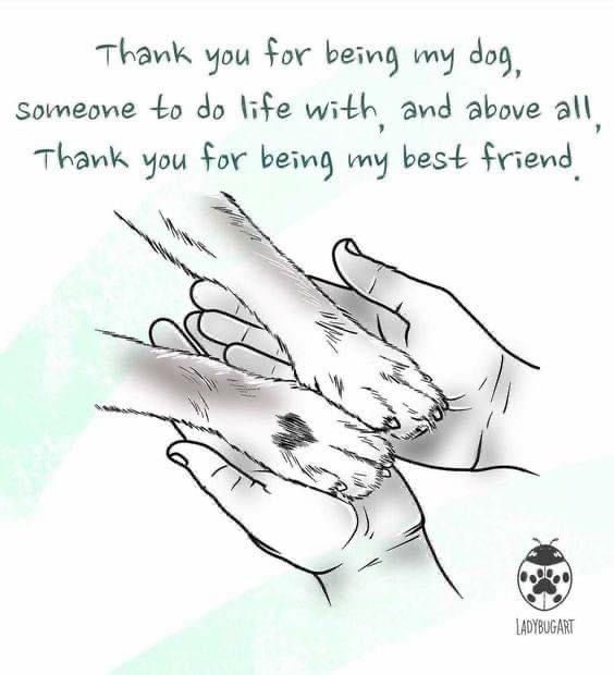 a drawing of a dog's paw with the words thank you for being my dog