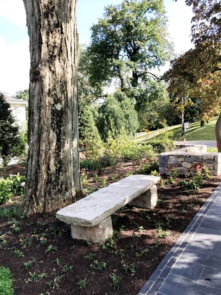 a stone bench sitting next to a tree