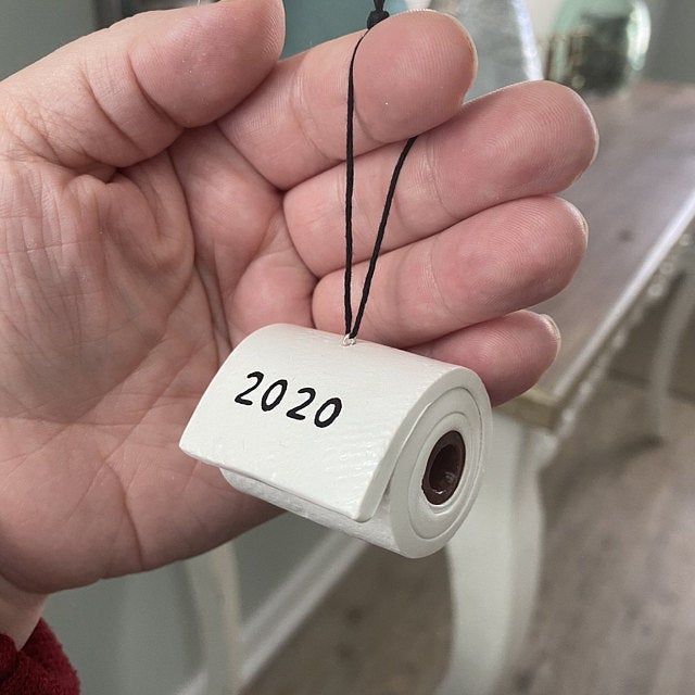 a hand holding a roll of toilet paper with the word 2020 printed on it, in front of a mirror