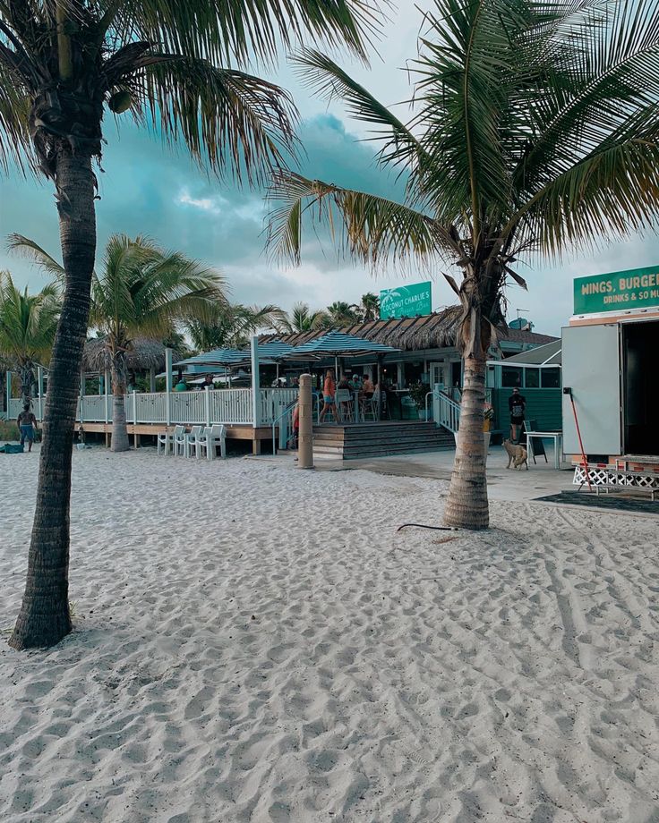 palm trees are in front of a small building on the beach with people walking around