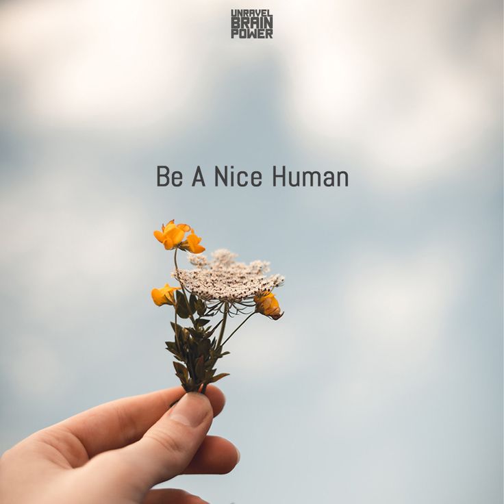 a hand holding a small flower with the words be a nice human on it in front of a cloudy sky