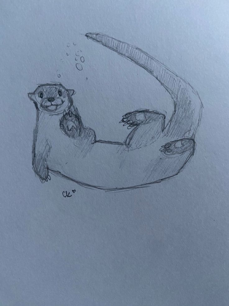 a pencil drawing of an otter floating on its back in the water with bubbles coming out of it's mouth