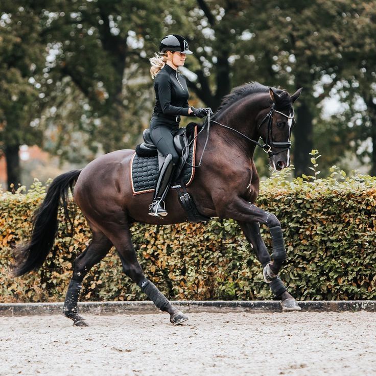 a woman riding on the back of a brown horse next to a lush green hedge