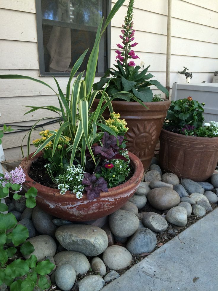 three pots with plants in them sitting on the side of a house next to some rocks