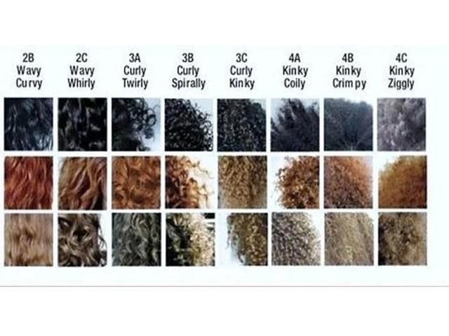 What is your hair type? And what does that exactly mean? Take the quiz inside to find out! Types Of Curly Hair, Hair Porosity Test, Hair Type Chart, Haircut Types, Curly Hair Types, Hair Porosity, Types Of Curls, Natural Hair Tips, Natural Hair Journey