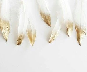 three white and gold feathers on a white surface