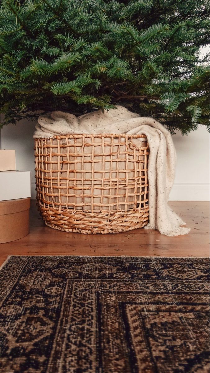 a basket under a christmas tree on the floor