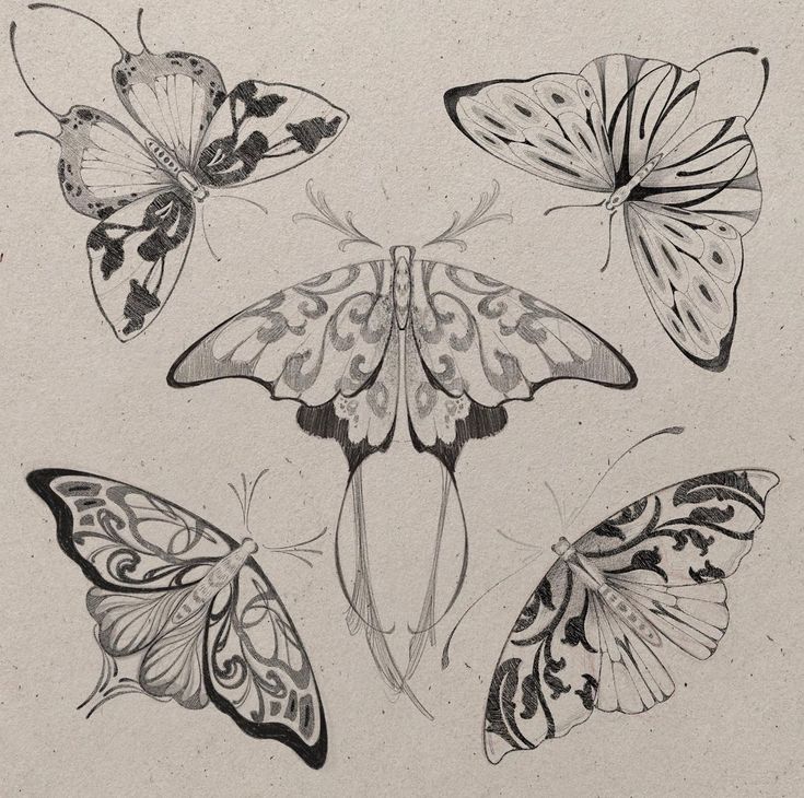 four butterflies are shown in black and white on a piece of paper with some ink