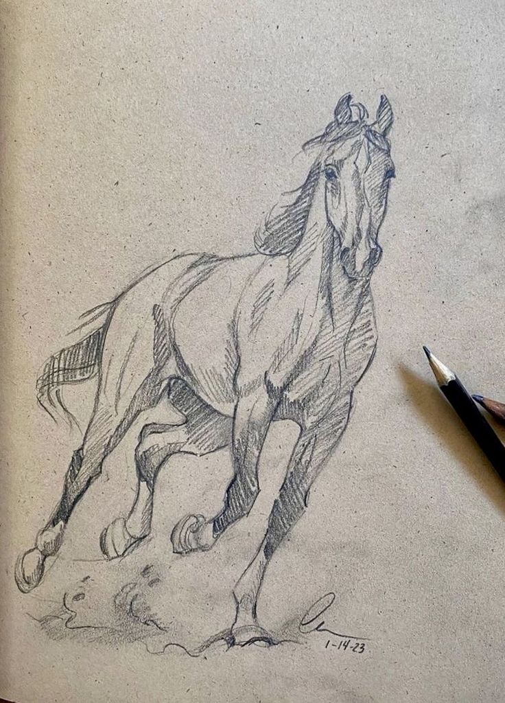 a pencil drawing of a running horse