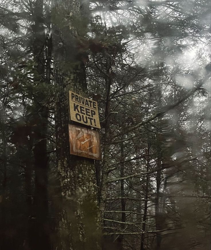 a sign that is on the side of a tree in the woods with trees behind it