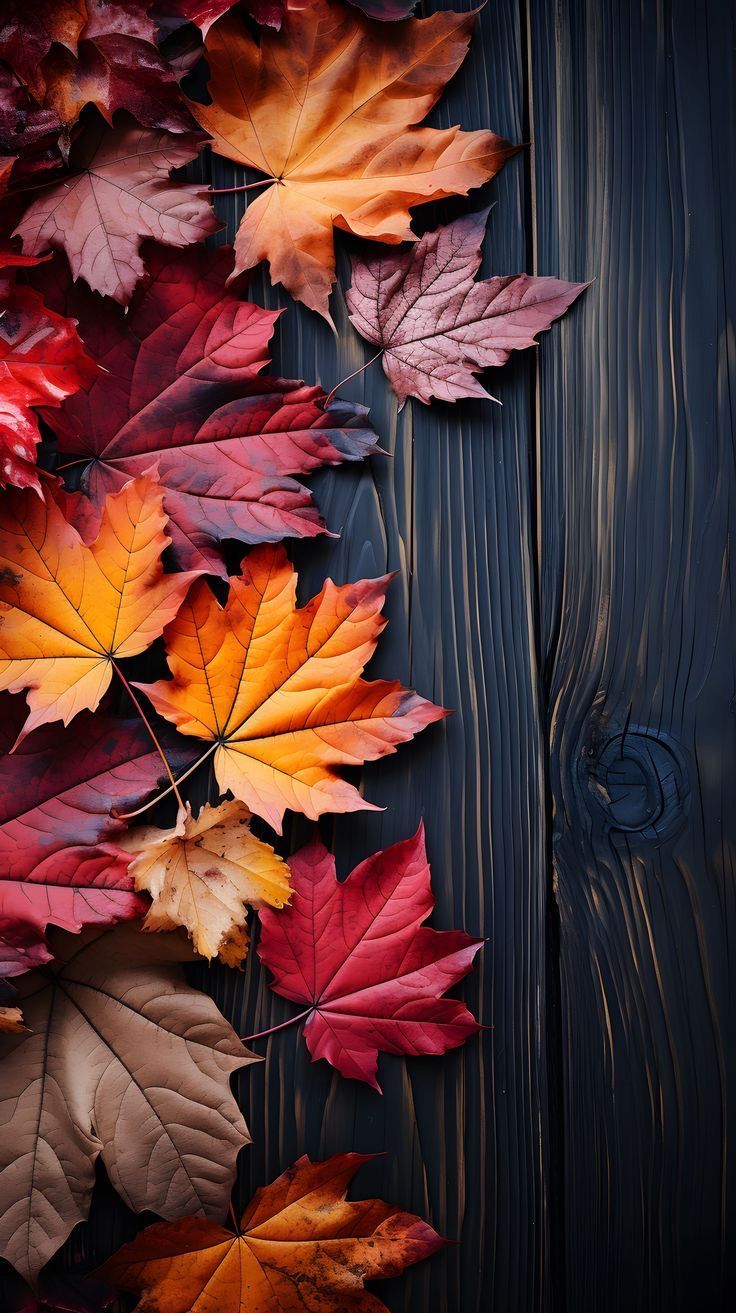 colorful autumn leaves laying on top of a wooden table