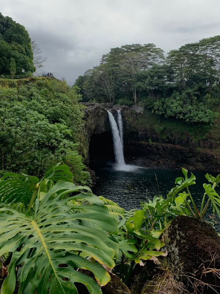 a waterfall is seen in the distance with lush vegetation surrounding it and trees on either side