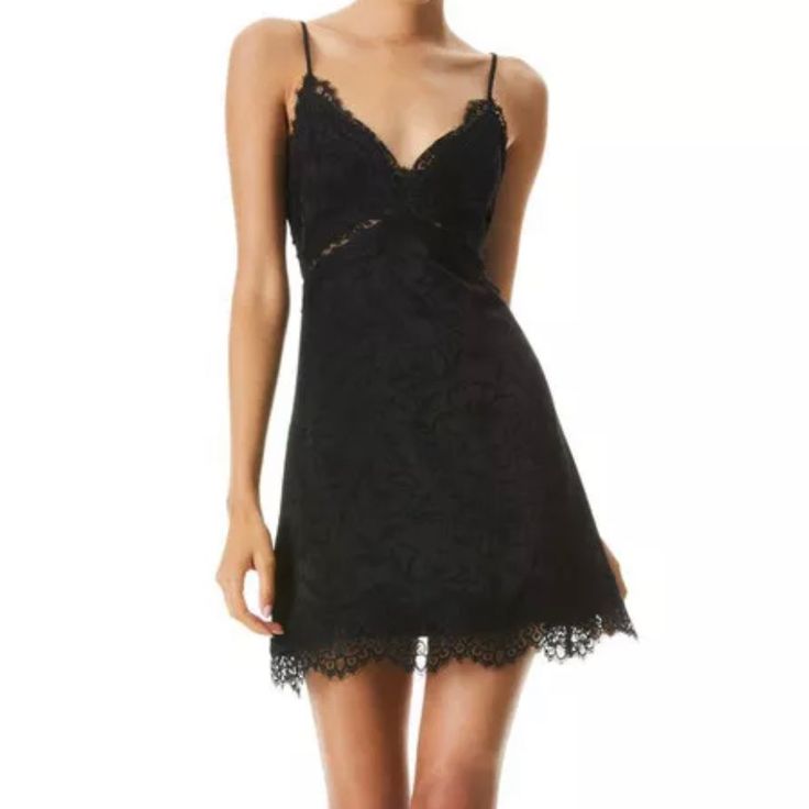 Alice And Olivia Black Lace Trim Dress. Size 2, Like New. Lace Trim Dress, Olivia Black, Black Lace Trim, Trim Dress, Alice And Olivia, Alice Olivia, Black Lace, Lace Trim, Colorful Dresses