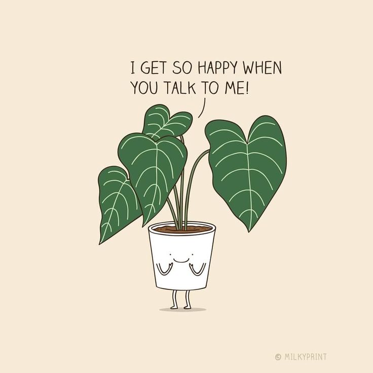 a potted plant with the words i get so happy when you talk to me