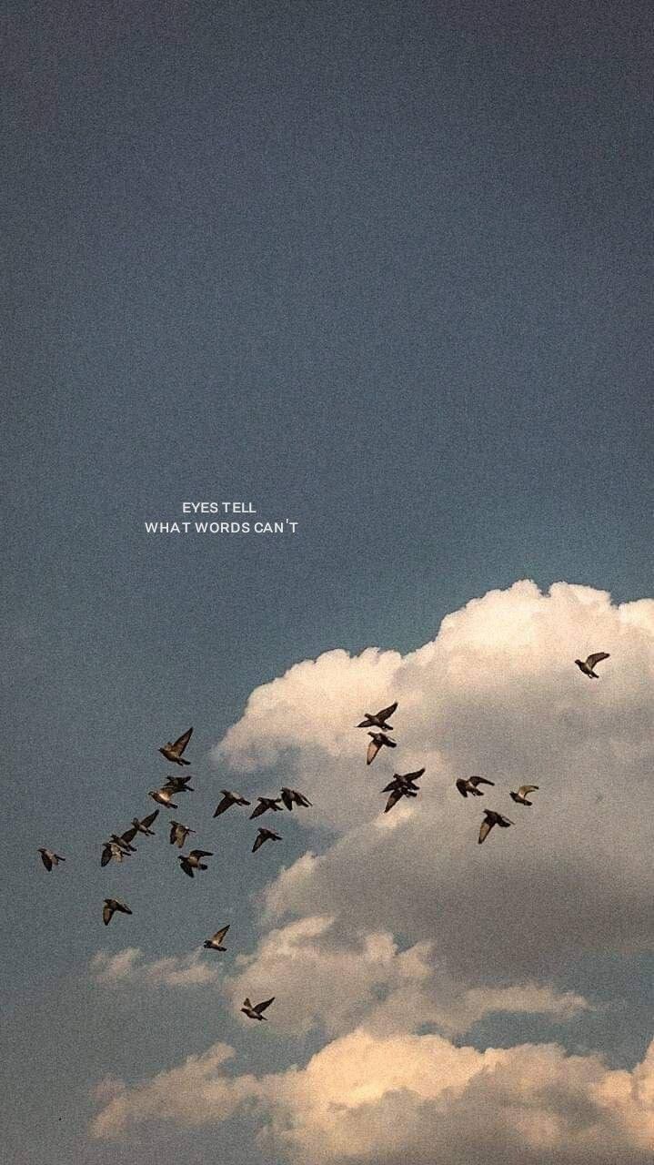 a flock of birds flying in the sky with a quote on it's side