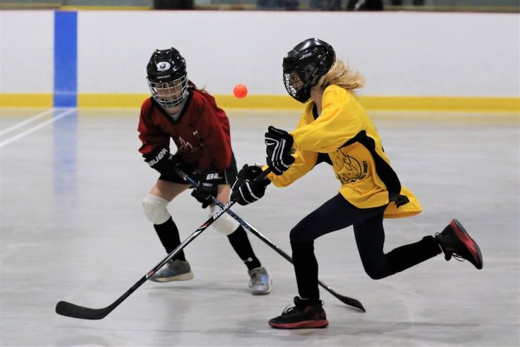 Find links to ball hockey stories, social media posts, local businesses, and upcoming events.  Share your upcoming ball hockey event.  Create a group around your shared passion for ball hockey. Ball Hockey, Athletic Gear, Active Women, Upcoming Events, Social Media Posts, Local Businesses, Social Media Post, Hockey, Do It