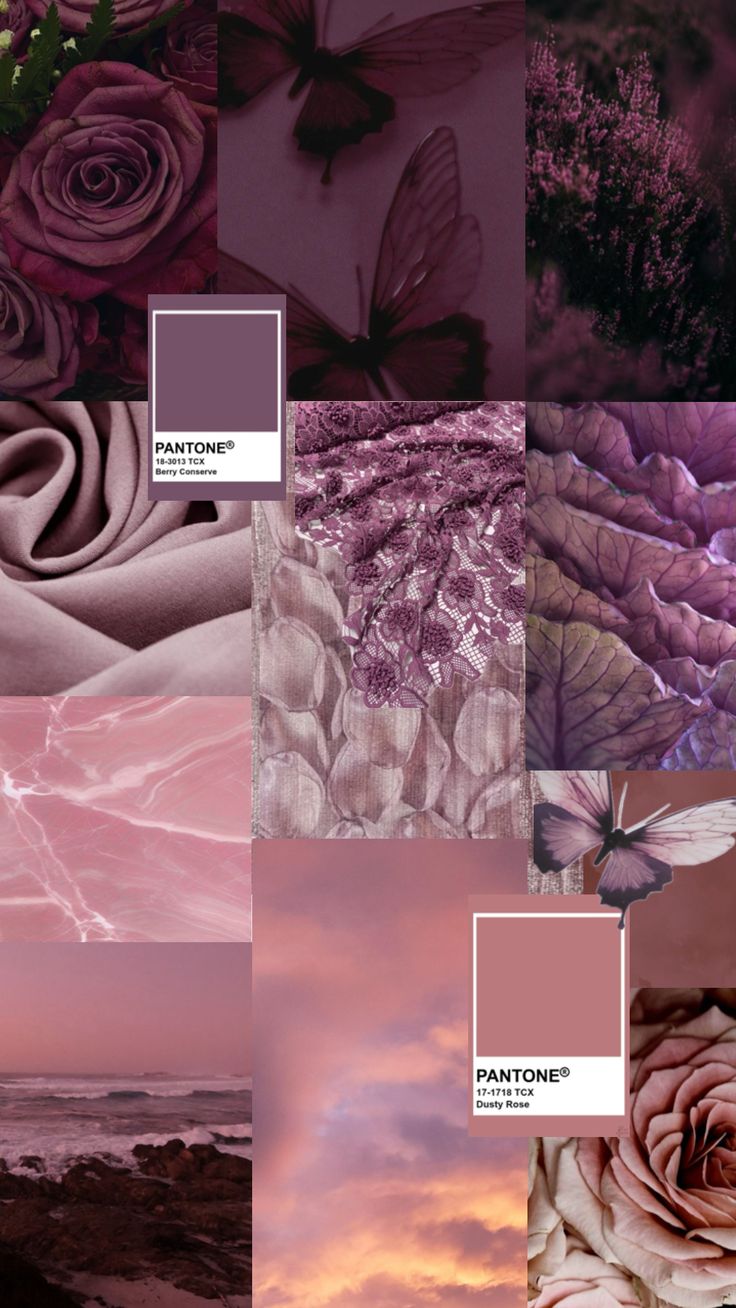 a collage of different shades of pink and purple with flowers in the center, on top of each other