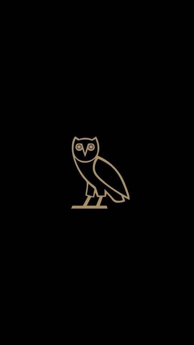 an owl sitting on top of a black surface