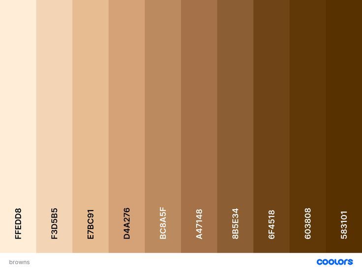 the shades of brown are shown in this color chart