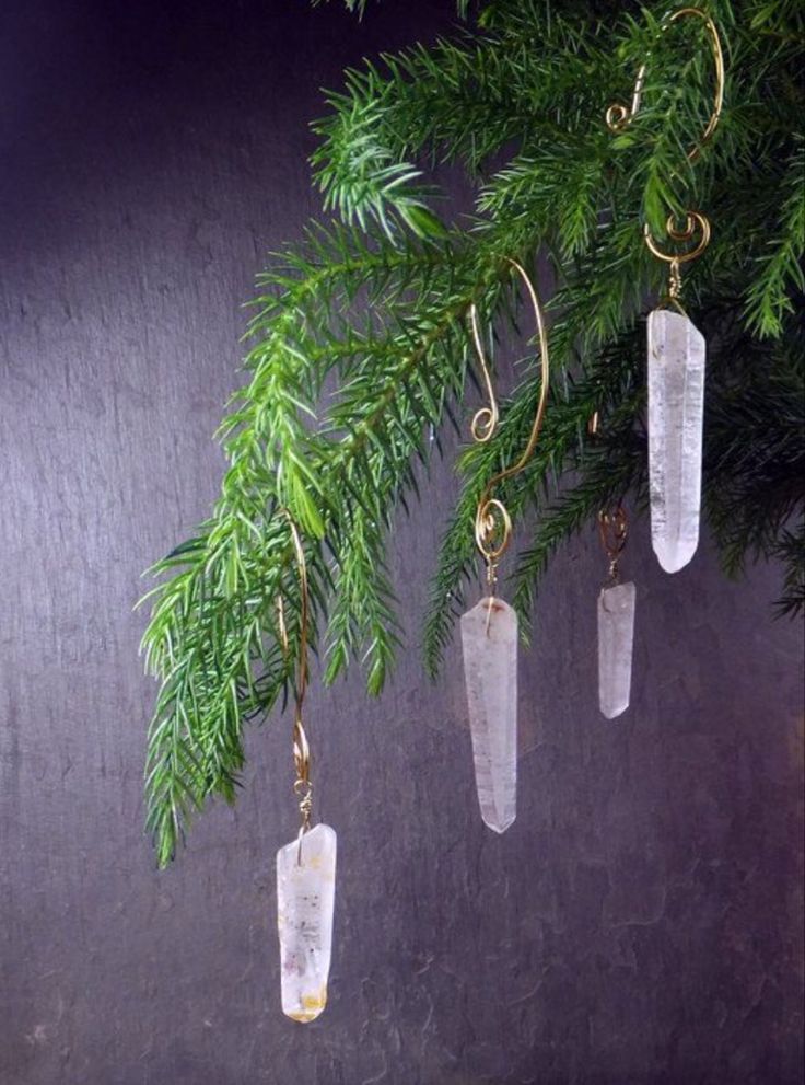 three clear quartz pendulums hanging from a tree branch on a dark background with green leaves