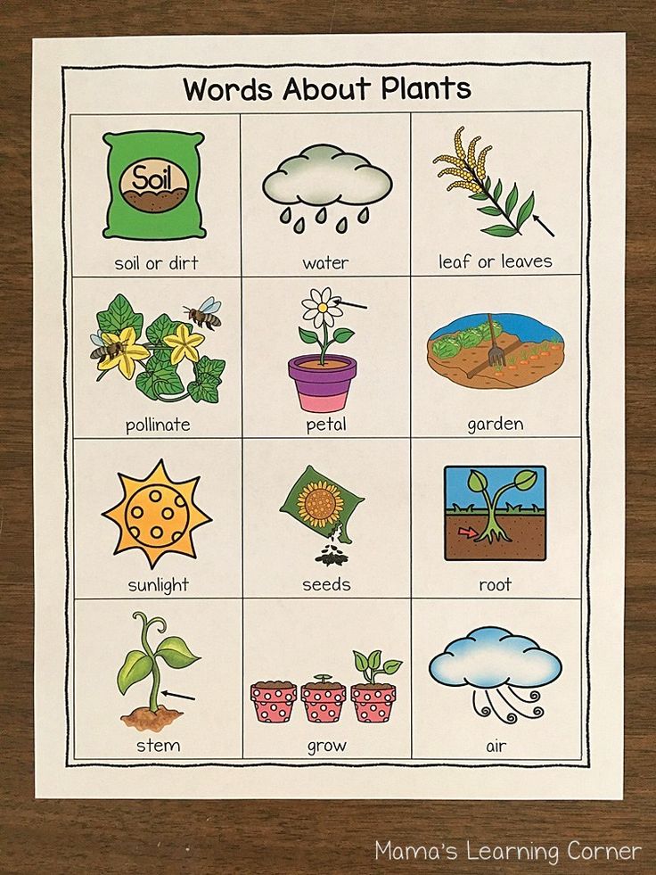 a poster with words about plants on it and pictures of the plant life inside them