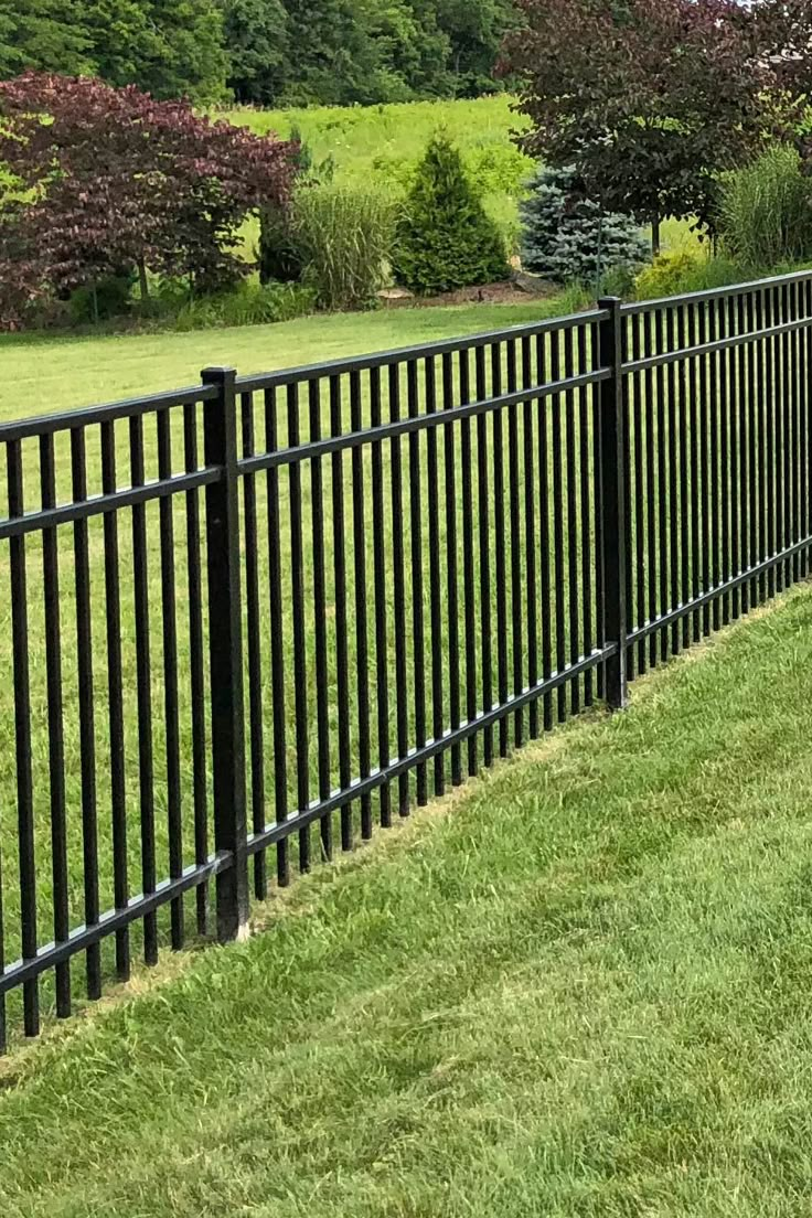 Aluminum Fence Black Fence Ideas Front Yards, Black Rod Iron Fence, Black Aluminum Fence Front Yard, Black Fence Around Pool, Black Metal Fencing, Black Metal Fence Ideas, Modern Fencing Ideas, Pool Fences And Gates, Fence Border Landscaping Backyard Ideas