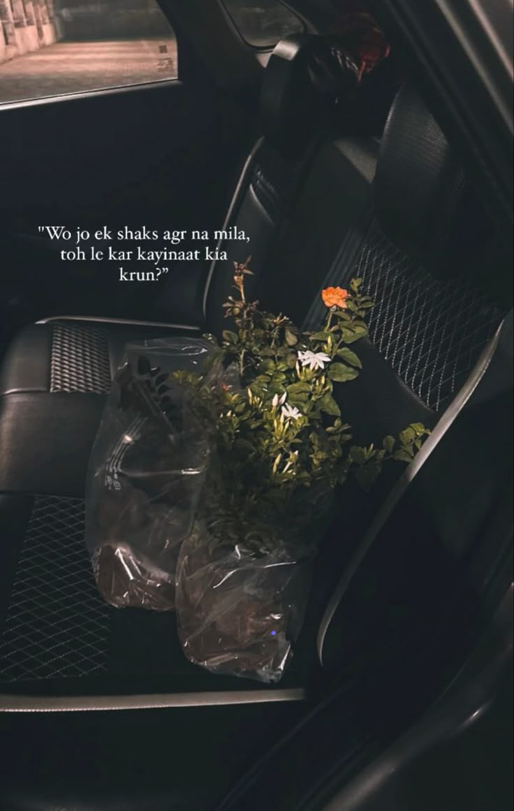 there is a plant in the back seat of a car with a quote on it