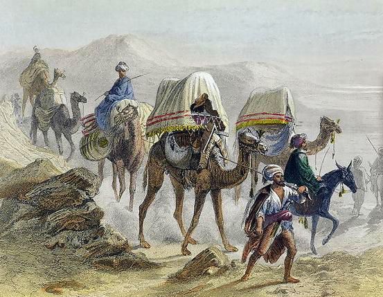 a group of men riding on the backs of camels