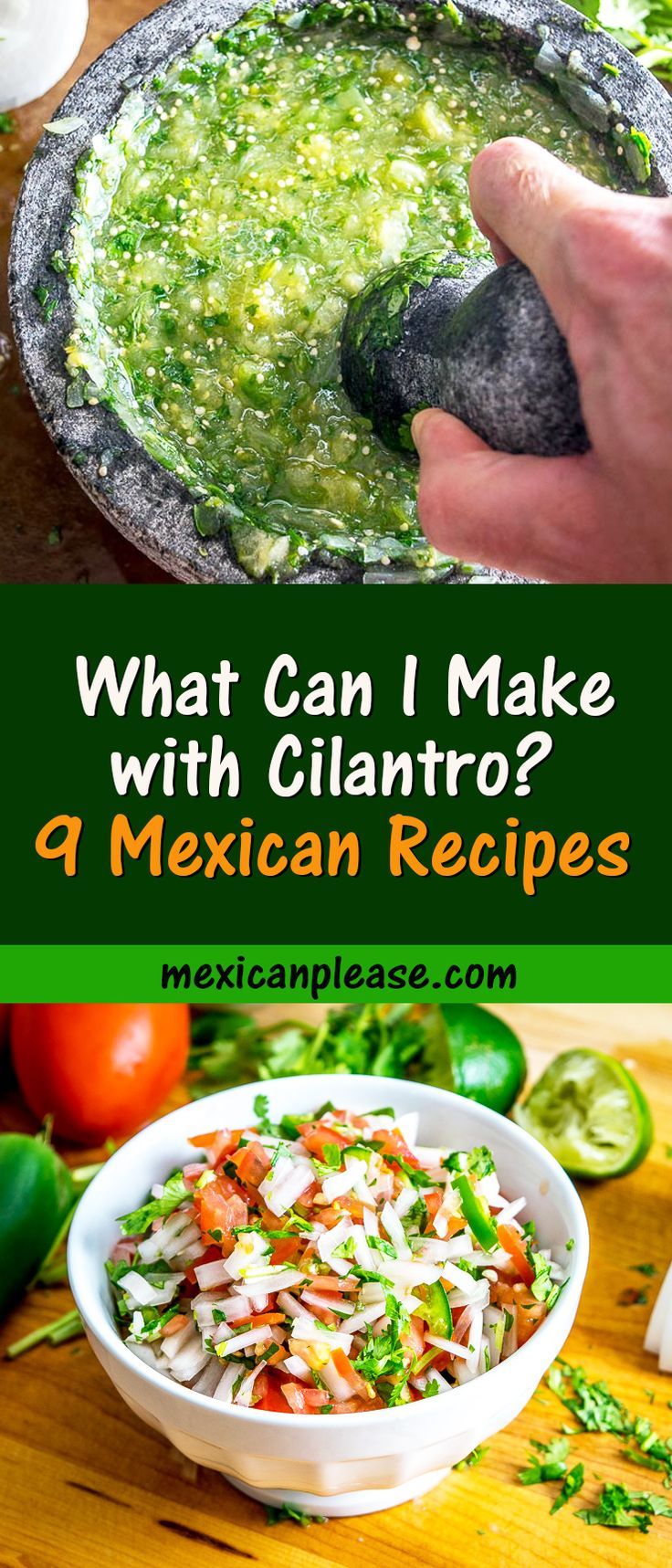 what can i make with cilantro? a mexican recipe that is easy and delicious