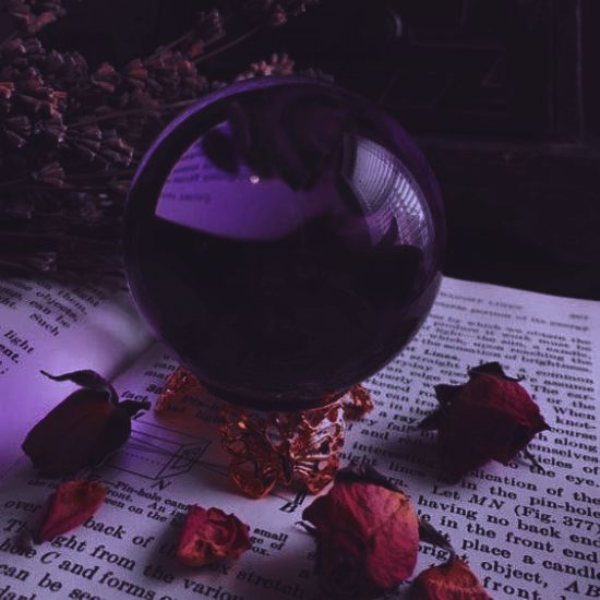 a glass of wine sitting on top of an open book next to some dried flowers