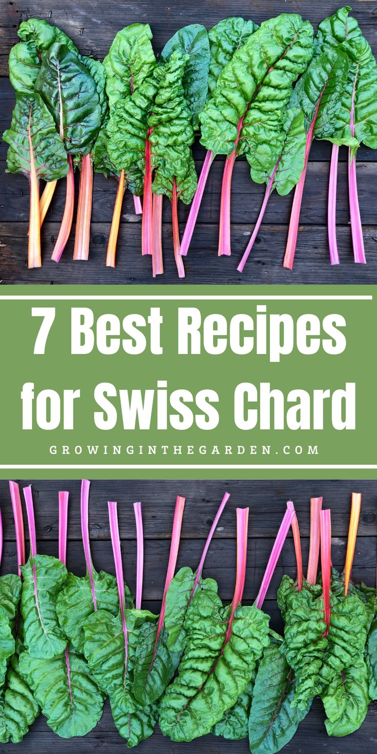 swiss chardishes on a wooden table with the title 7 best recipes for swiss chardishes