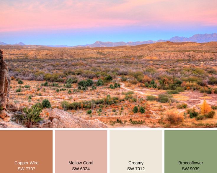 the desert with mountains in the background is featured in this color palette for an article