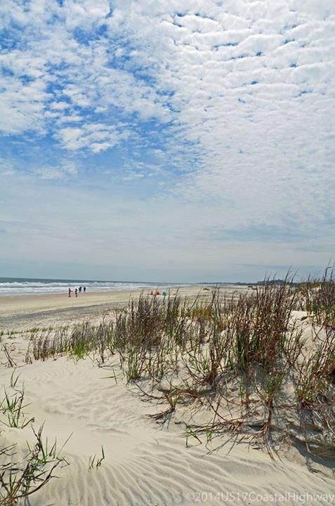 people are walking on the beach near tall grass and sand, under a cloudy blue sky with wispy clouds