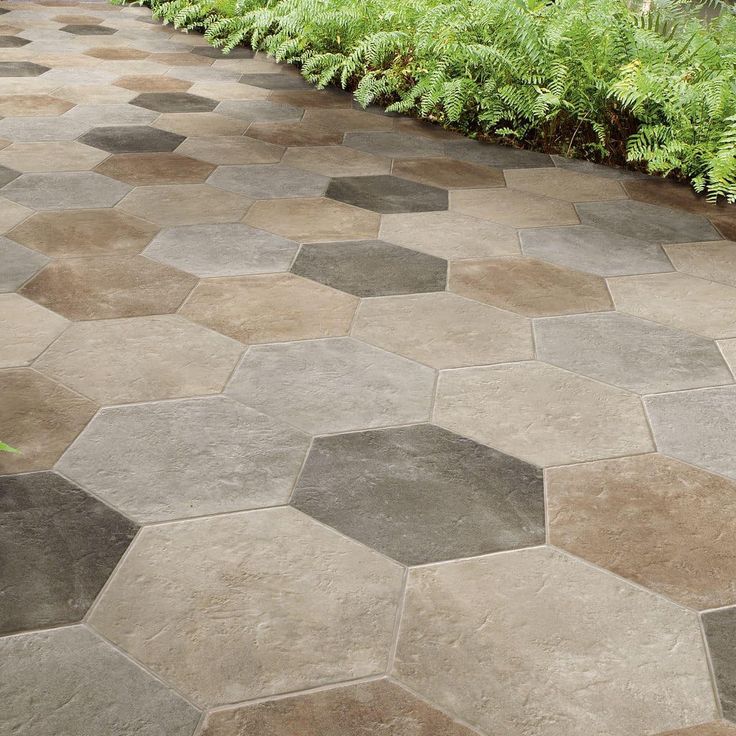 an outdoor walkway with hexagonal tiles and plants on either side, surrounded by shrubbery