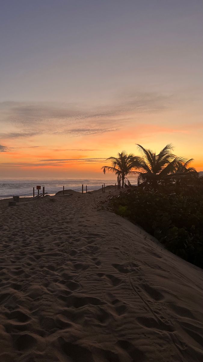 the sun is setting at the beach with palm trees