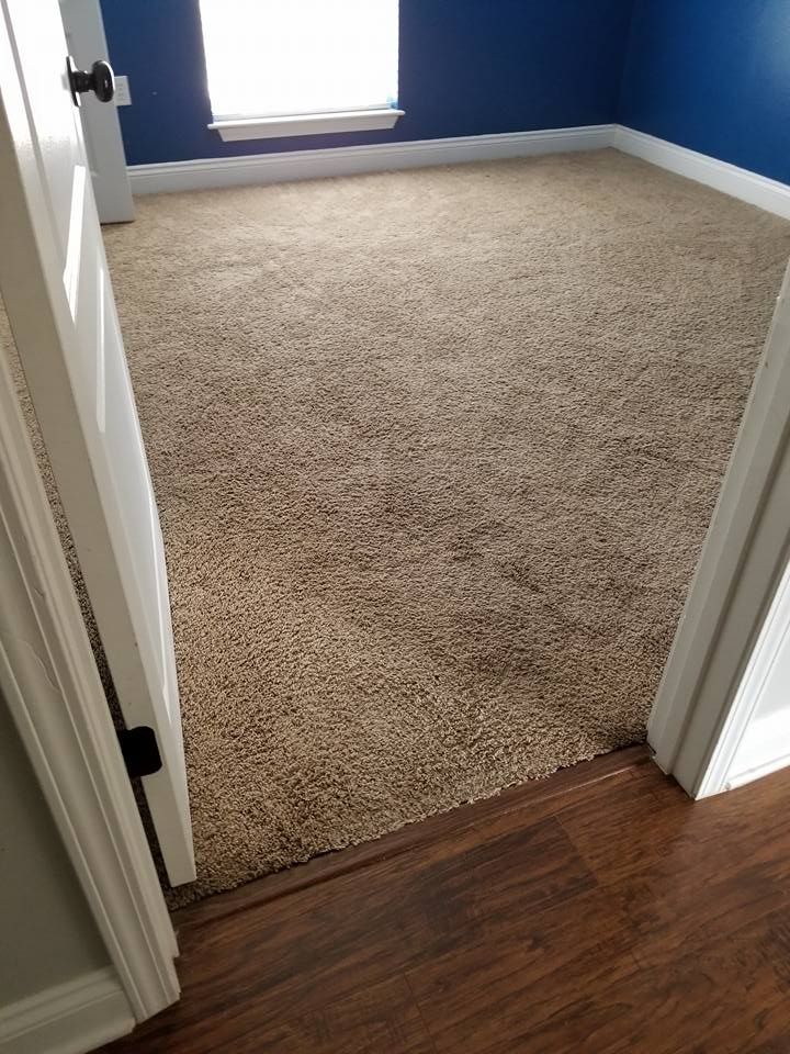 an empty room with blue walls and brown carpet